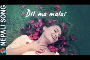 Dil Ma Malai