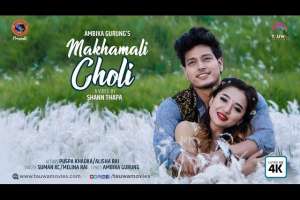 Makhamali Choli|