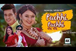 Pachhi Pachhi